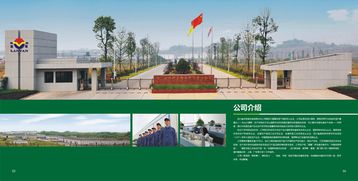 宜賓畫冊(cè)設(shè)計(jì)與農(nóng)產(chǎn)品包裝的藝術(shù)融合 從設(shè)計(jì)效果圖看品牌升級(jí)
