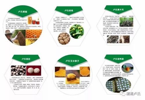 原上盧氏 全力助推精準(zhǔn)脫貧，農(nóng)產(chǎn)品零售煥新生
